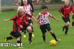 Hantverkscupen 2010  60.jpg

89,65 KB 
1000 x 667 
2010-08-15